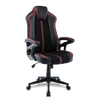 TTRacing Duo V4 Gaming Chair