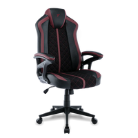 TTRacing Duo V4 Gaming Chair