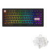 Akko ACR Pro 68 / ACR Pro 75 Pre-Assemble Hot-Swappable RGB Mechanical Gaming Keyboard With Akko CS Crystal Switch