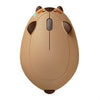 Akko Cat Theme Wireless Mouse / GRAY / PINK / ORANGE / BROWN / FORTUNE / RAGDOLL / BLUE & WHITE