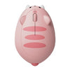 Akko Cat Theme Wireless Mouse / GRAY / PINK / ORANGE / BROWN / FORTUNE / RAGDOLL / BLUE & WHITE