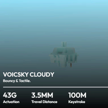 Load image into Gallery viewer, VOICSKY ECHO 96 / 75 Tri-M / M-func Knob / WBD / 1.14"Screen Tone Linear / Cloudy Tactile Switch
