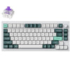 Keychron Q1 HE 75% Hot-swappable RGB Backlight Magnetic Switches Wireless Custom Keyboard