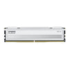 KLEVV FIT V 16GB 16GBx1 / 32GB 16GBx2 6000MHz CL28 / CL32 DDR5 Ram Kit BLACK / WHITE